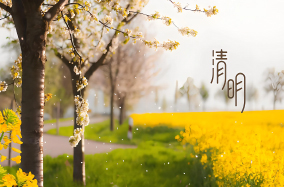 清明：在时光的褶皱里触摸生命的温度